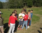 Fotbal 4
