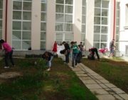 PLANTÃM PENTRU UN MEDIU SÃNÃTOS