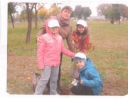 Plantam copaci!
