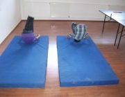 Gimnastica artisctica