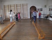 Indemanaticii