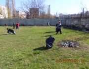 MICII  ECOLOGISTI