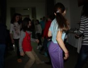 pinguinul