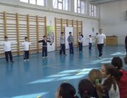 gimnastica