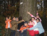 Plimbare gradina botanica