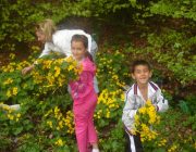 Excursie 