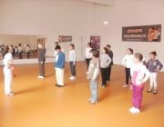 Demonstratie de karate