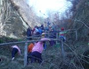 Excursioniºtii