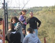 Sport extrem (III) - tiroliana