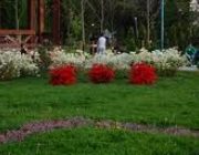 JOCURI IN PARC