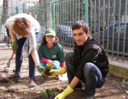 BUCURESTIUL VERDE