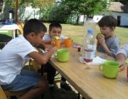 Poftiti la un fruct gustos!