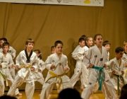 TAEKWONDO