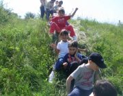 Pe carari de munte