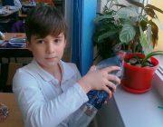Îngrijim plantele din clasa noastrã
