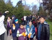 Curatenie in Gradina Botanica