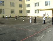 Tenis