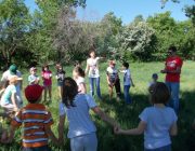 Splendoare in iarba