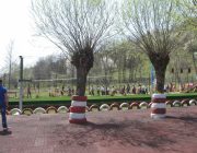 In Parcul de distractii