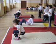 Gimnastica si sarituri  