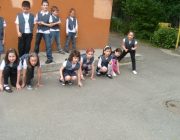 MICILE BROSCUTE