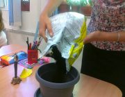 Plantãm noi rãsaduri în ghivecele din clasã