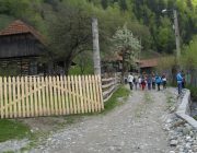 ,,Iubiti natura si miscarea''