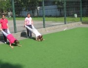 Gimnastica