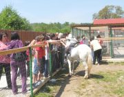 Vizita la o ferma de animale