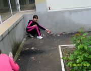 Ne mișcãm și natura curata o pastrãm