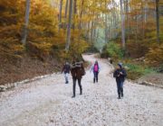 EXCURSIE LA CETATEA RASNOV