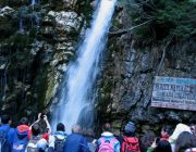 Cascada Urlatoare