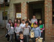 Casute pentru pasarele 