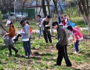 Ecologizarea spatiului de joaca