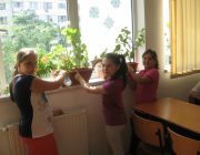 Noi ºi florile 