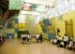 activitati in sala de sport